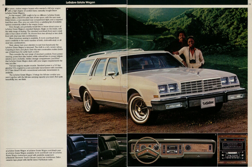 n_1981 Buick Full Line-18-19.jpg